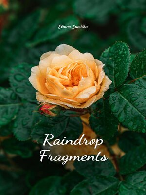 cover image of Raindrop Fragments